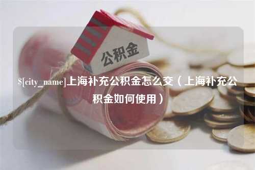 苍南上海补充公积金怎么交（上海补充公积金如何使用）